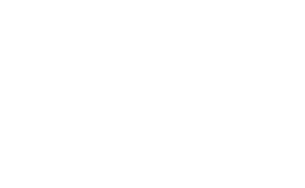 logo labportos