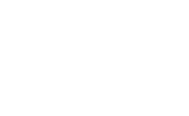 logo labportos